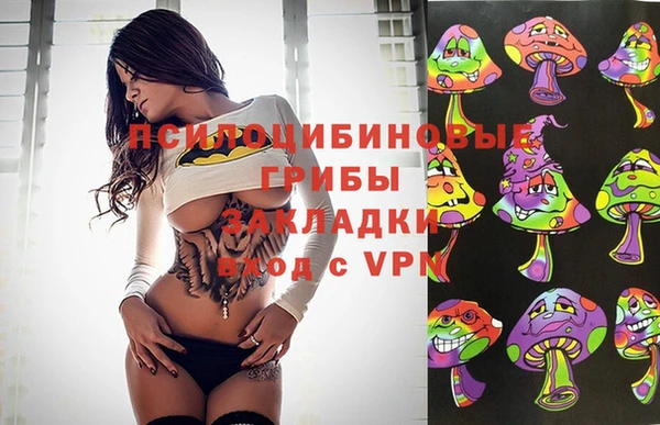 ГАЛЛЮЦИНОГЕННЫЕ ГРИБЫ Беломорск