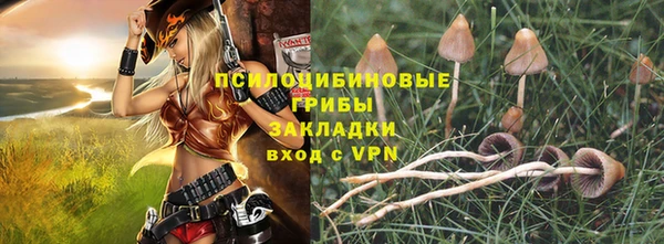 таблы Белокуриха