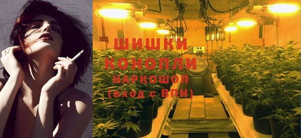 спиды Карталы
