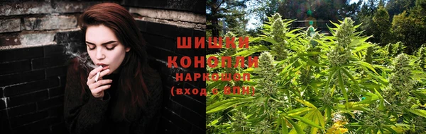 ГАЛЛЮЦИНОГЕННЫЕ ГРИБЫ Беломорск