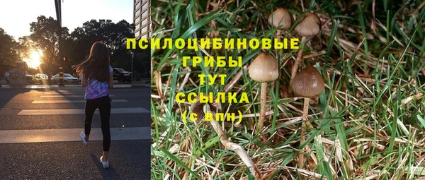 ГАЛЛЮЦИНОГЕННЫЕ ГРИБЫ Беломорск
